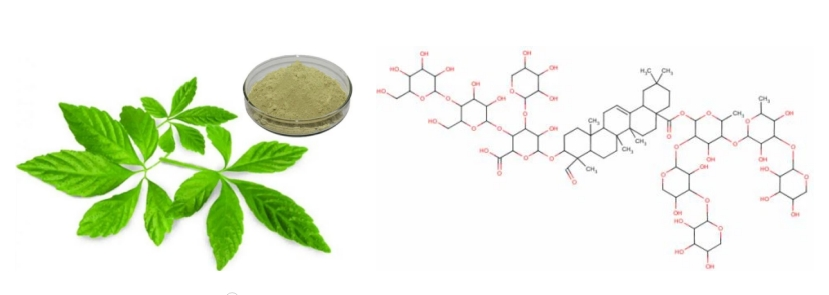 Gypenosides Gypenosides