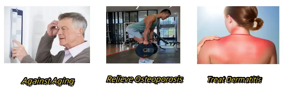 Cnidium Monnieri Extract Functions Cnidium Monnieri Extract Functions