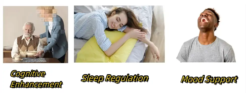 Griffonia Seed Extract Functions Griffonia Seed Extract Functions