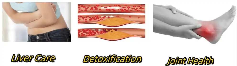 Milk Thistle Extract Powder Functions Milk Thistle Extract Powder Functions