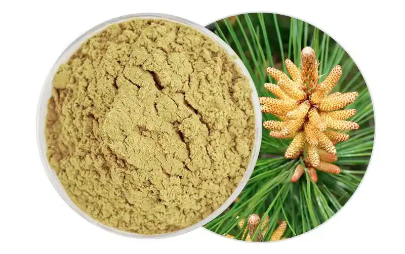 Pine Pollen Powder Pine Pollen Powder