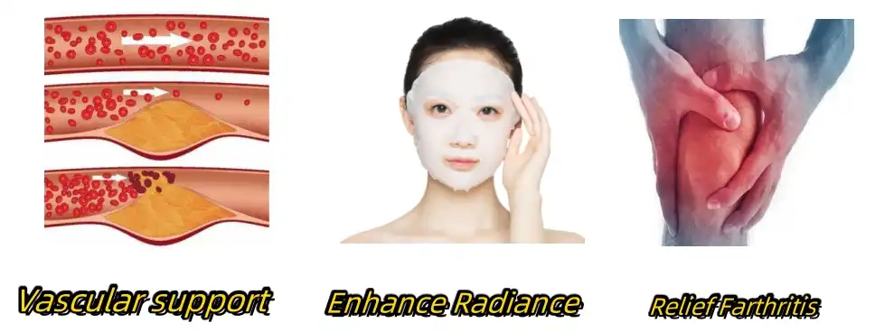 Rutin Extract Functions Rutin Extract Functions