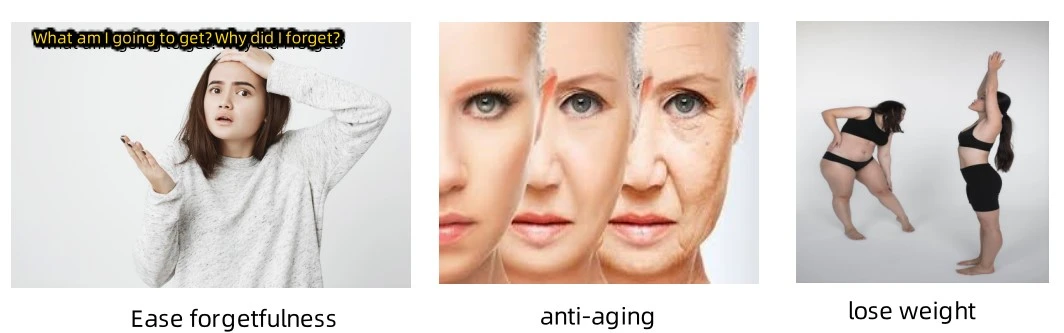 Genistein Powder function Genistein Powder function