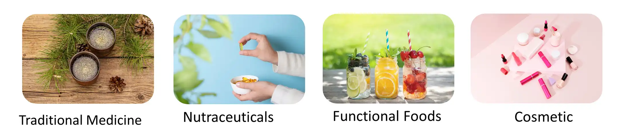 Pine Pollen Powder Pine Pollen Powder