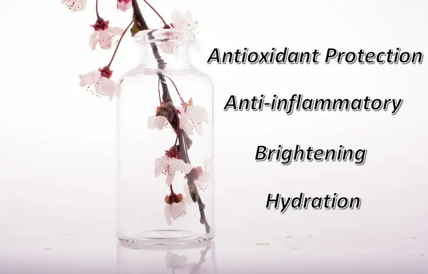 Sakura Extract Sakura Extract