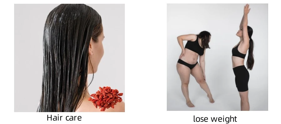 Wolfberry Extract Wolfberry Extract