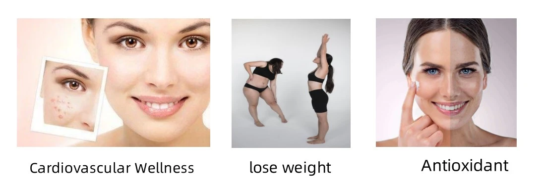 Wild Yam Extract Powder function Wild Yam Extract Powder function