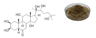 Turkesterone Powder Turkesterone Powder