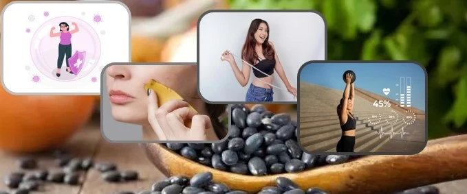 Black Soybean Powder Black Soybean Powder