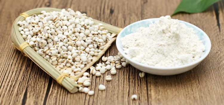 Coix Seed Powder Coix Seed Powder