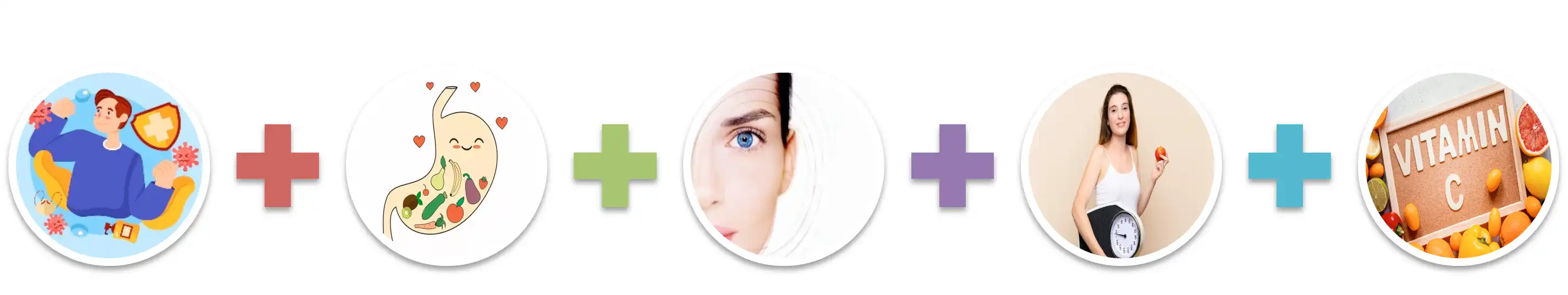 Coix Seed Powder Coix Seed Powder