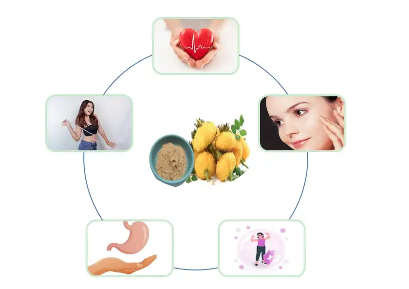 Prickly Pear Fruit Powder Prickly Pear Fruit Powder