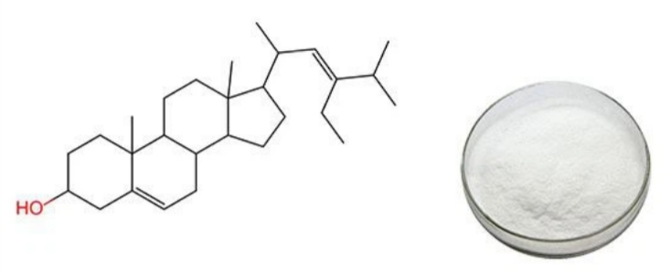 Stigmasterol Powder Stigmasterol Powder