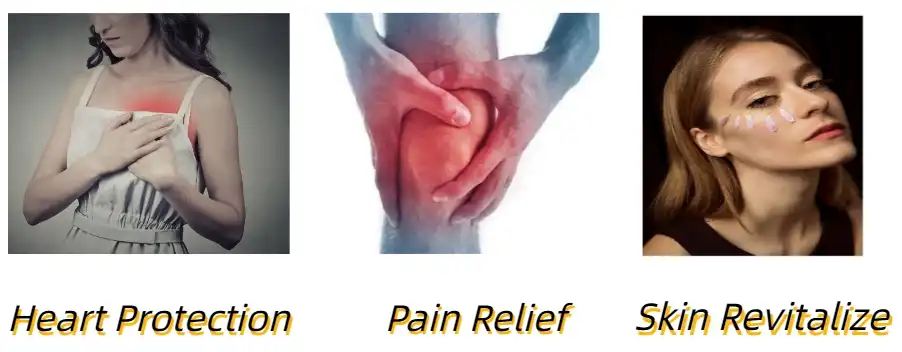 Stigmasterol Powder Functions Stigmasterol Powder Functions