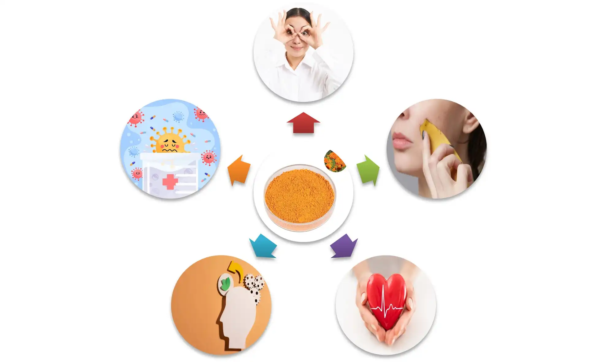 Lutein Powder Lutein Powder