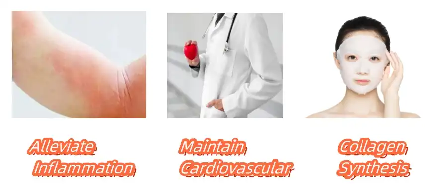 Ellagic Acid Powder Functions Ellagic Acid Powder Functions