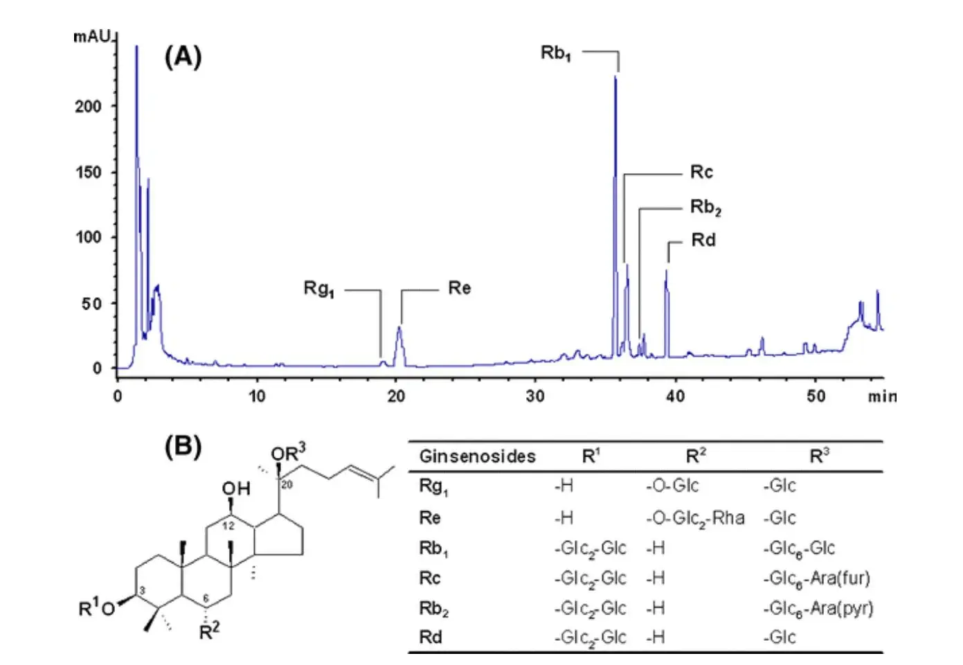 American Ginseng Extract Powder American Ginseng Extract Powder