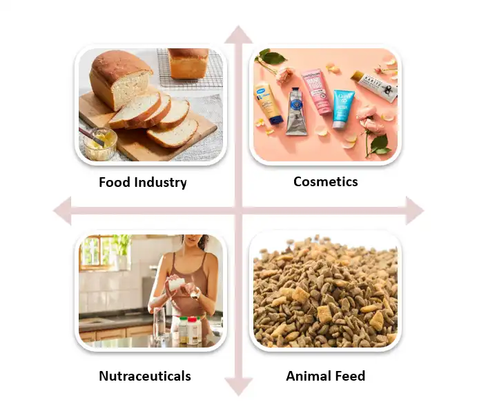 beta carotene powder beta carotene powder