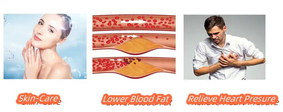 Phytosterol Powder Functions Phytosterol Powder Functions