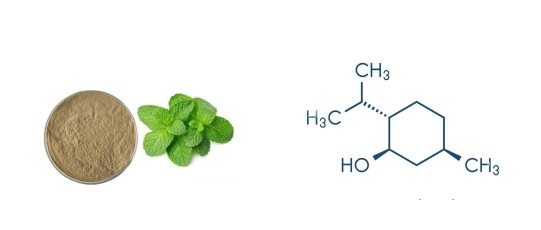 Peppermint Extract Powder Peppermint Extract Powder