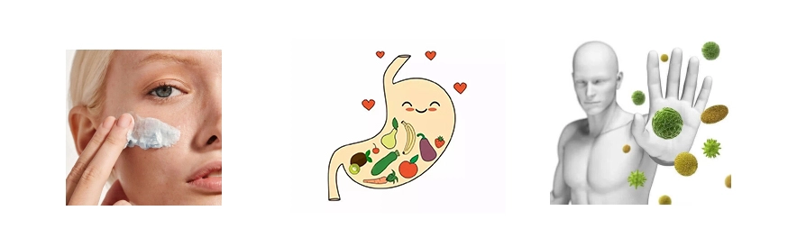 Anacyclus Pyrethrum Extract Anacyclus Pyrethrum Extract