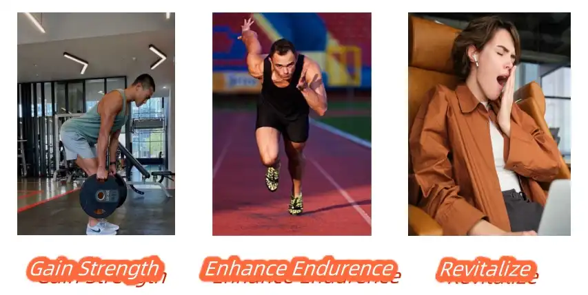 Turkesterone Powder Functions Turkesterone Powder Functions