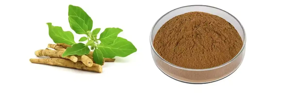 Ashwagandha Extract Powder Ashwagandha Extract Powder