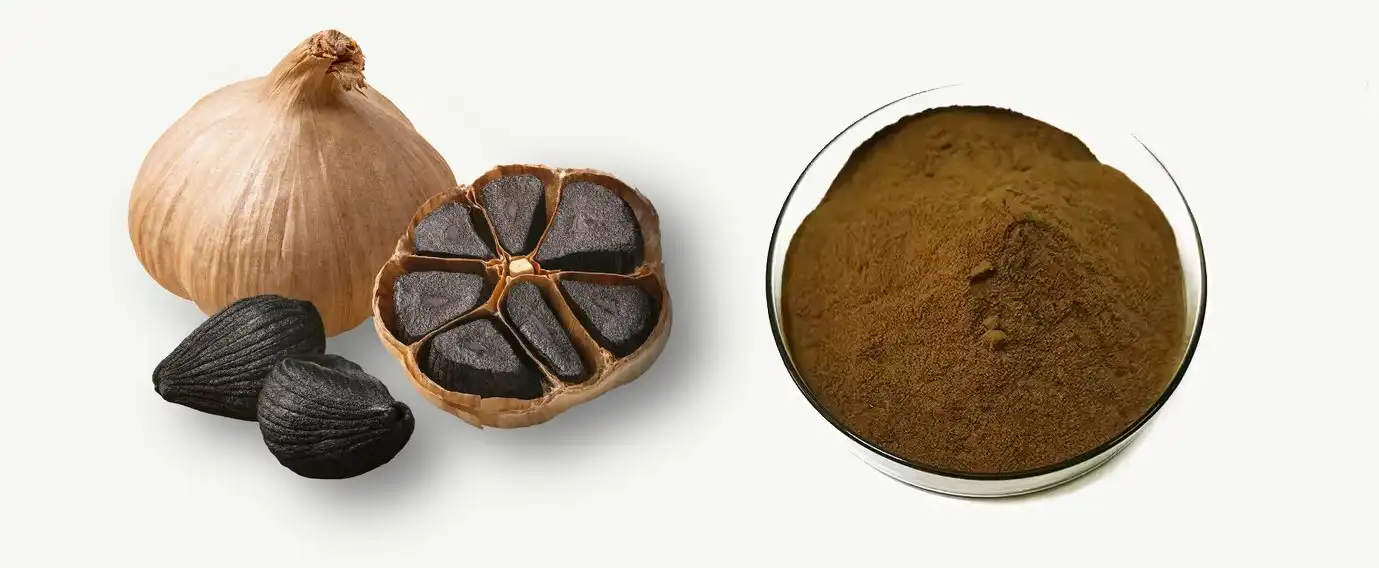 Black Garlic Extract Powder Black Garlic Extract Powder