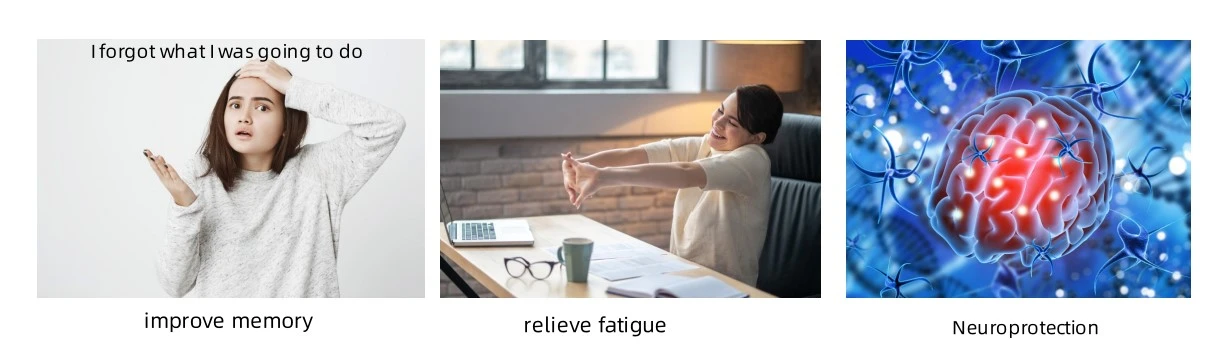 Função pregnenolona Função pregnenolona