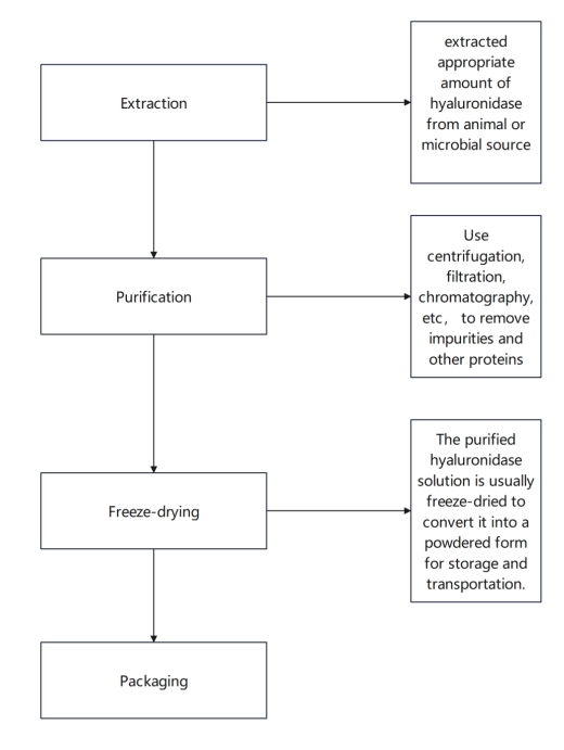 Hyaluronidase Powder Hyaluronidase Powder