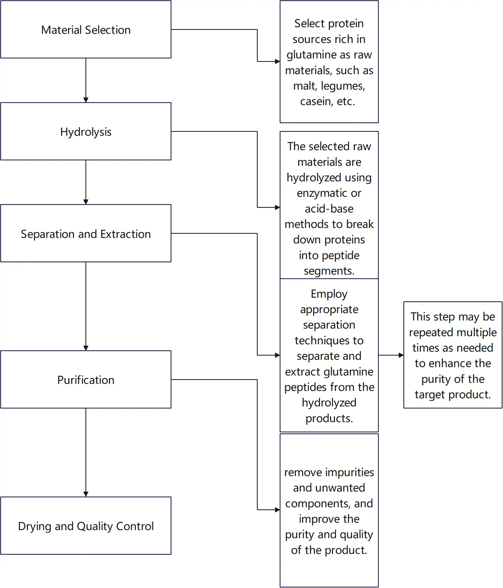 Glutamine Peptide Process Glutamine Peptide Process