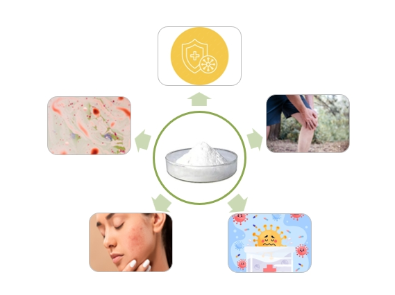 Betulinic Acid Powder Functions Betulinic Acid Powder Functions