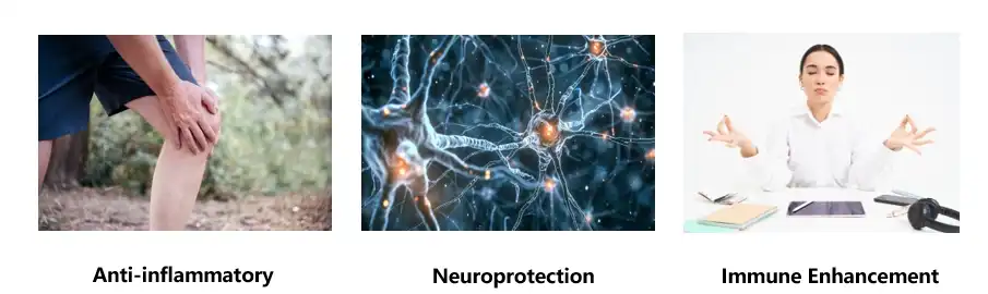 luteolin bulk powder luteolin bulk powder