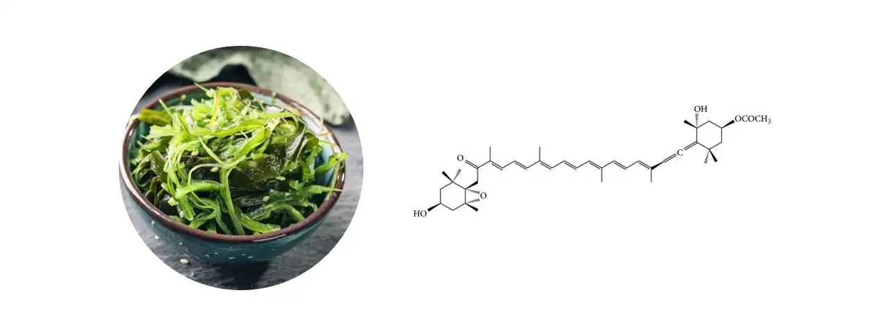 Fucoxanthin Powder Fucoxanthin Powder