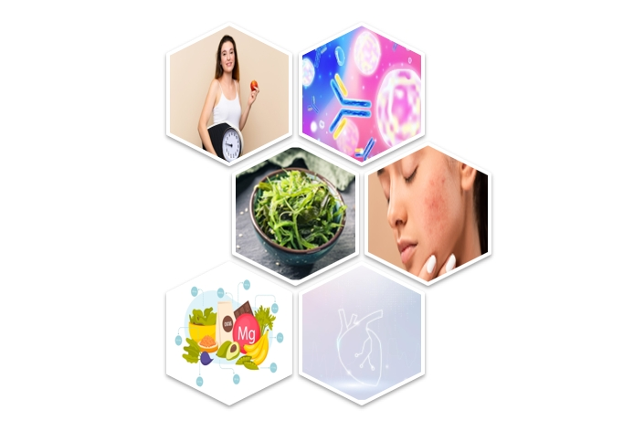 Fucoxanthin Powder Functions Fucoxanthin Powder Functions