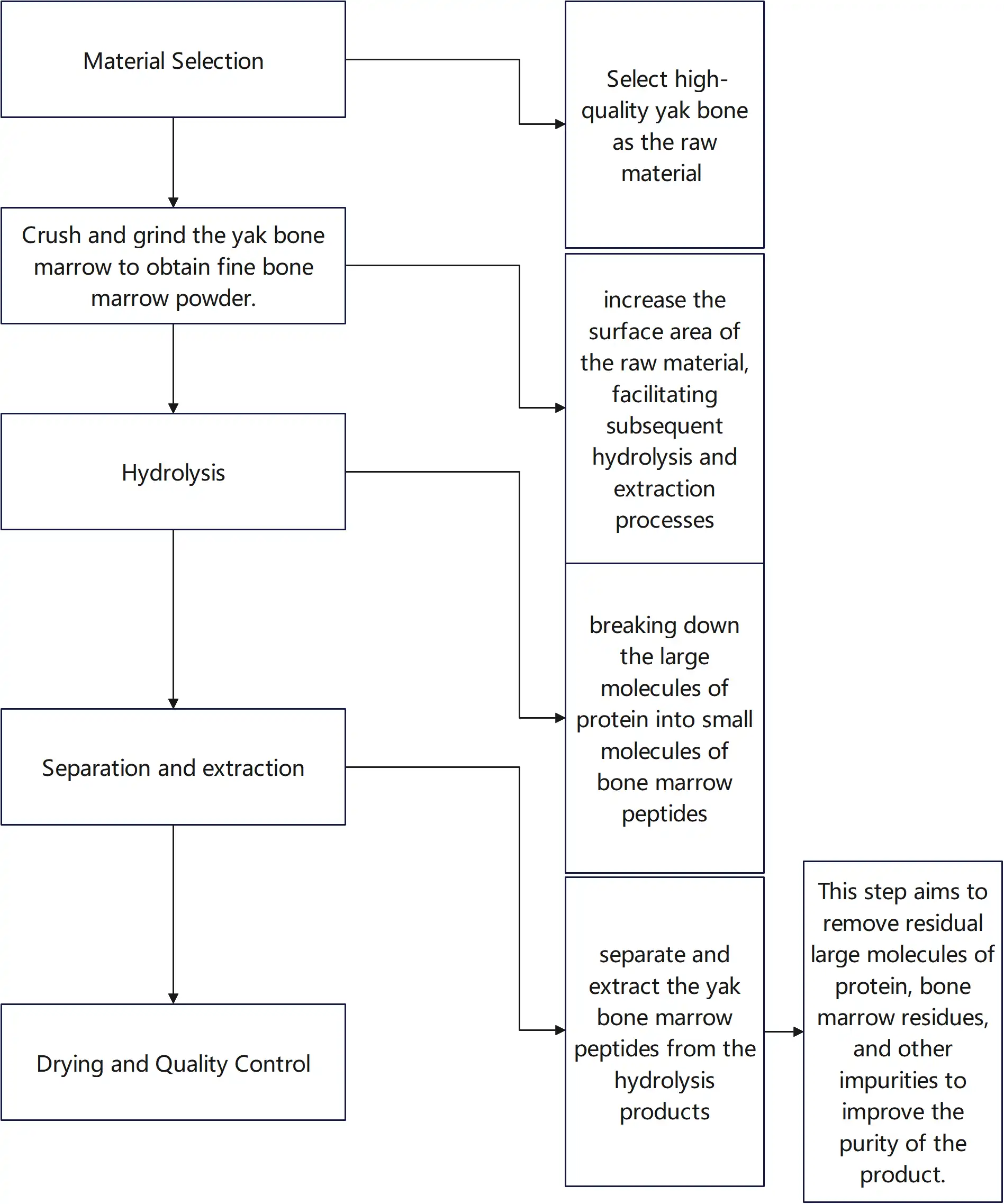 Yak Bone Marrow Peptide Processing Yak Bone Marrow Peptide Processing