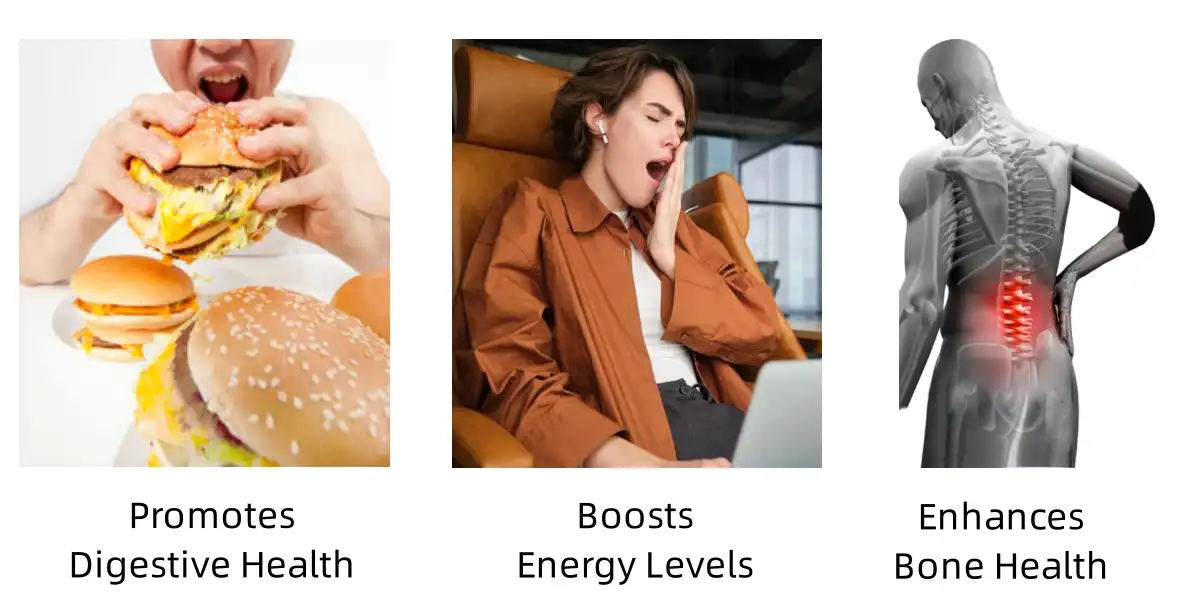 Yak Bone Marrow Peptide Functions Yak Bone Marrow Peptide Functions