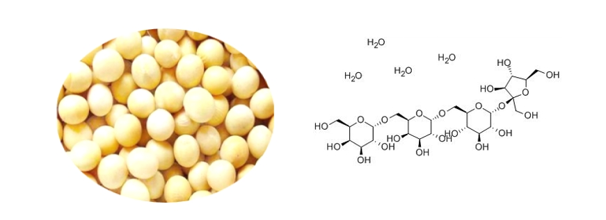 Soybean Oligosaccharides Soybean Oligosaccharides