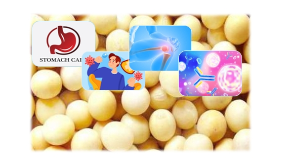 Soybean Oligosaccharides Functions Soybean Oligosaccharides Functions