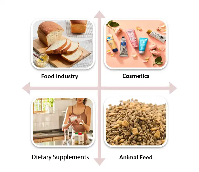Soybean Oligosaccharides Application Soybean Oligosaccharides Application