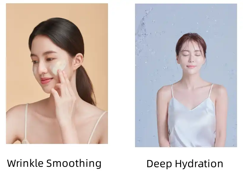 Elastin Peptide Functions Elastin Peptide Functions