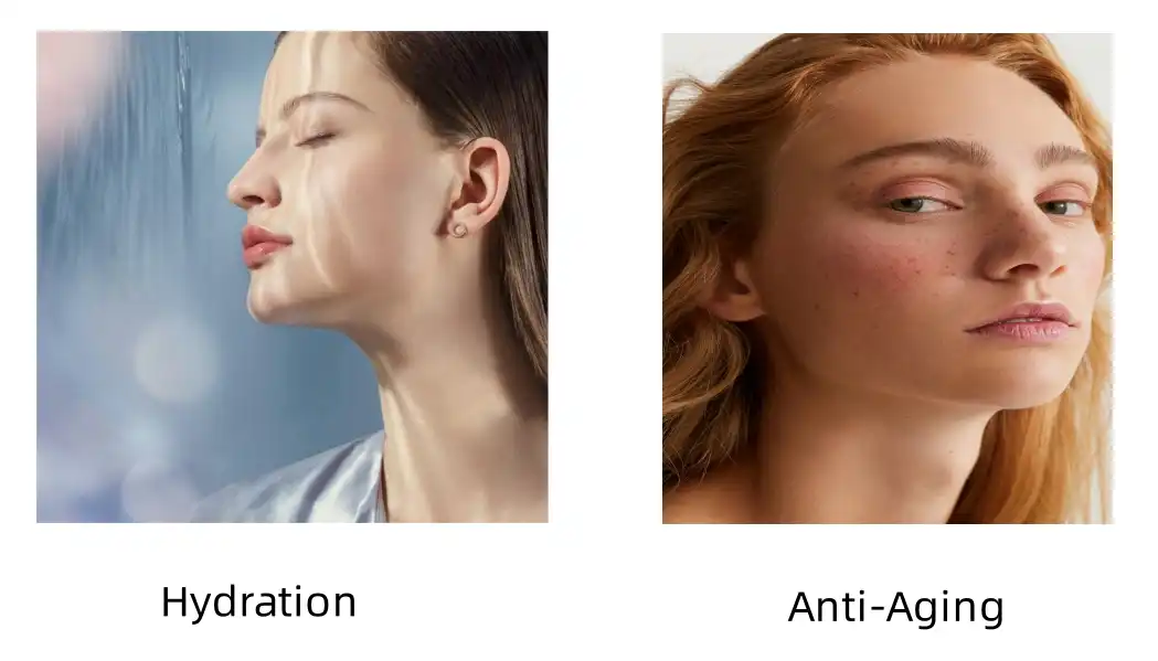 Bonito Elastin Peptide Functions Bonito Elastin Peptide Functions