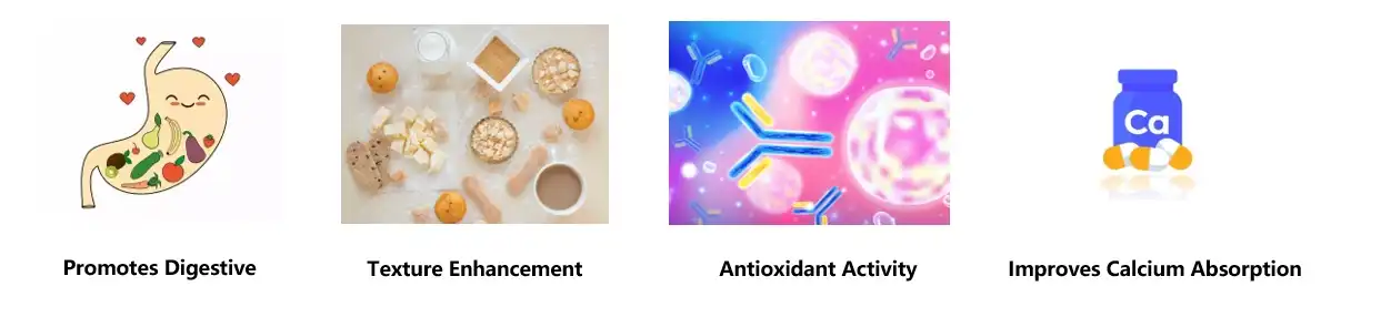 organic xylooligosaccharide powder Functions organic xylooligosaccharide powder Functions