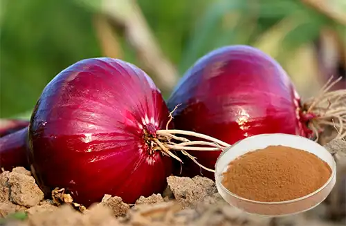 Onion Extract Powder Onion Extract Powder