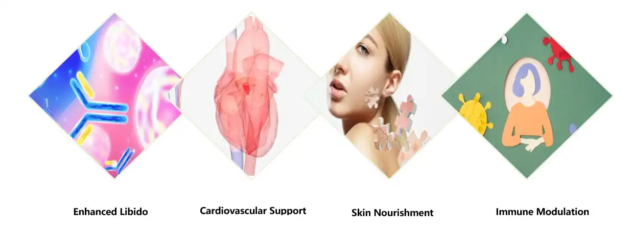 Onion Extract Powder Functions Onion Extract Powder Functions