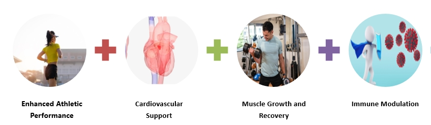 l arginine pure powder Functions l arginine pure powder Functions
