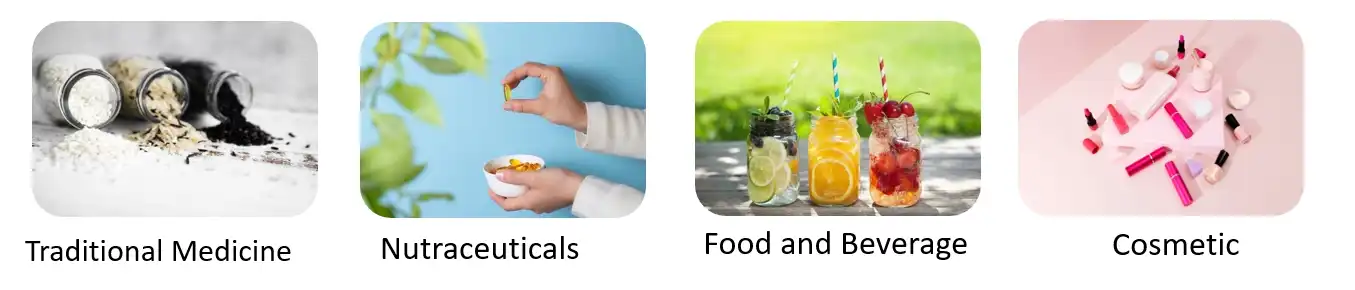 L-Valine Powder Application L-Valine Powder Application