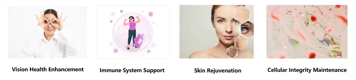 Vitamin A Powder Functions Vitamin A Powder Functions