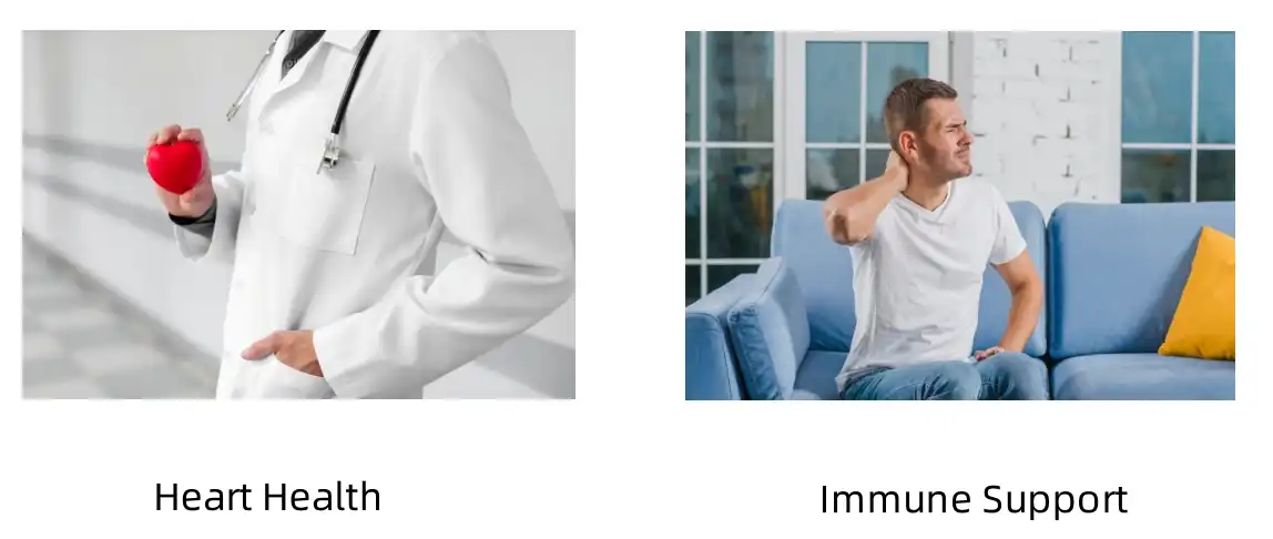 Pumpkin Seed Protein Functions Pumpkin Seed Protein Functions