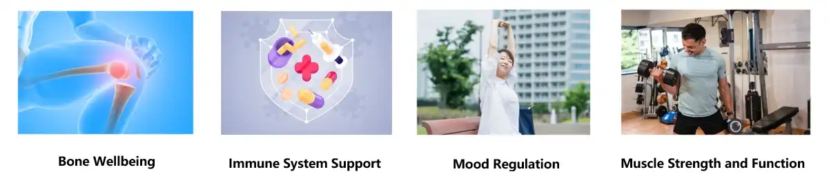 vitamin d3 powder bulk vitamin d3 powder bulk